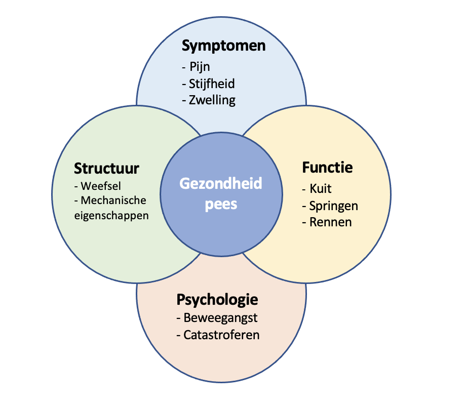 Halbe-Kooter-Castricum-Fysiotherapie-Achillespees-Domeinen