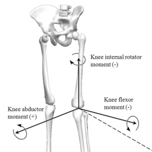 Halbe-Kooter-Castricum-Fysiotherapie-Knie-Biomechanica
