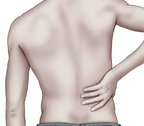 Halbe-Kooter-Castricum-Manuele-Therapie-Spit-lage-rugpijn-klachten