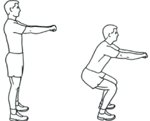 Halbe-Kooter-Castricum-Fysiotherapie-Knie-Meniscus-Letsel-Oefening-Squat
