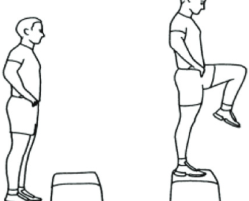 Halbe-Kooter-Castricum-Fysiotherapie-Knie-Meniscus-Letsel-Oefening-Step-up