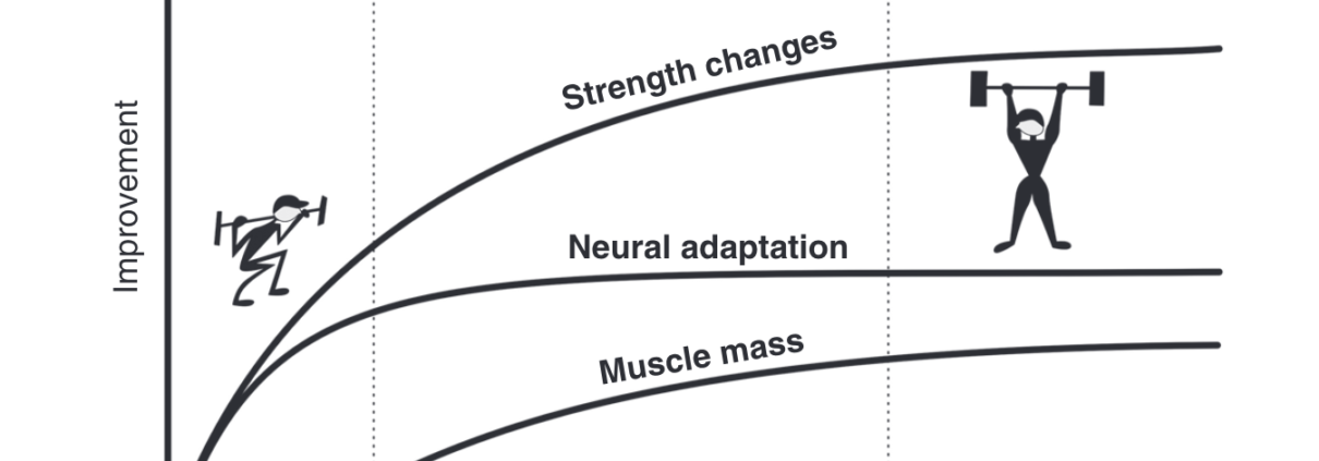 Halbe-Kooter-Castricum-Fysiotherapie-Training-Ontwikkeling