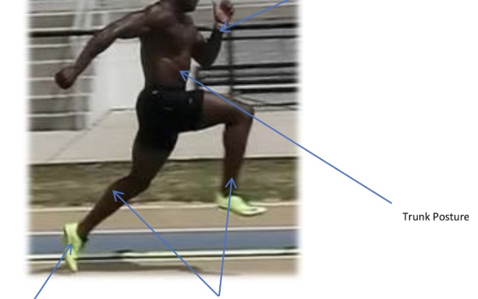 Halbe-Kooter-Castricum-Fysiotherapie-Hamstring-Blessure