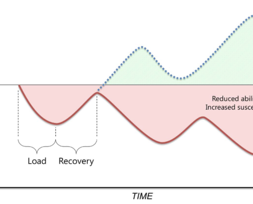 Halbe-Kooter-Castricum-Fysiotherapie-Periodisering