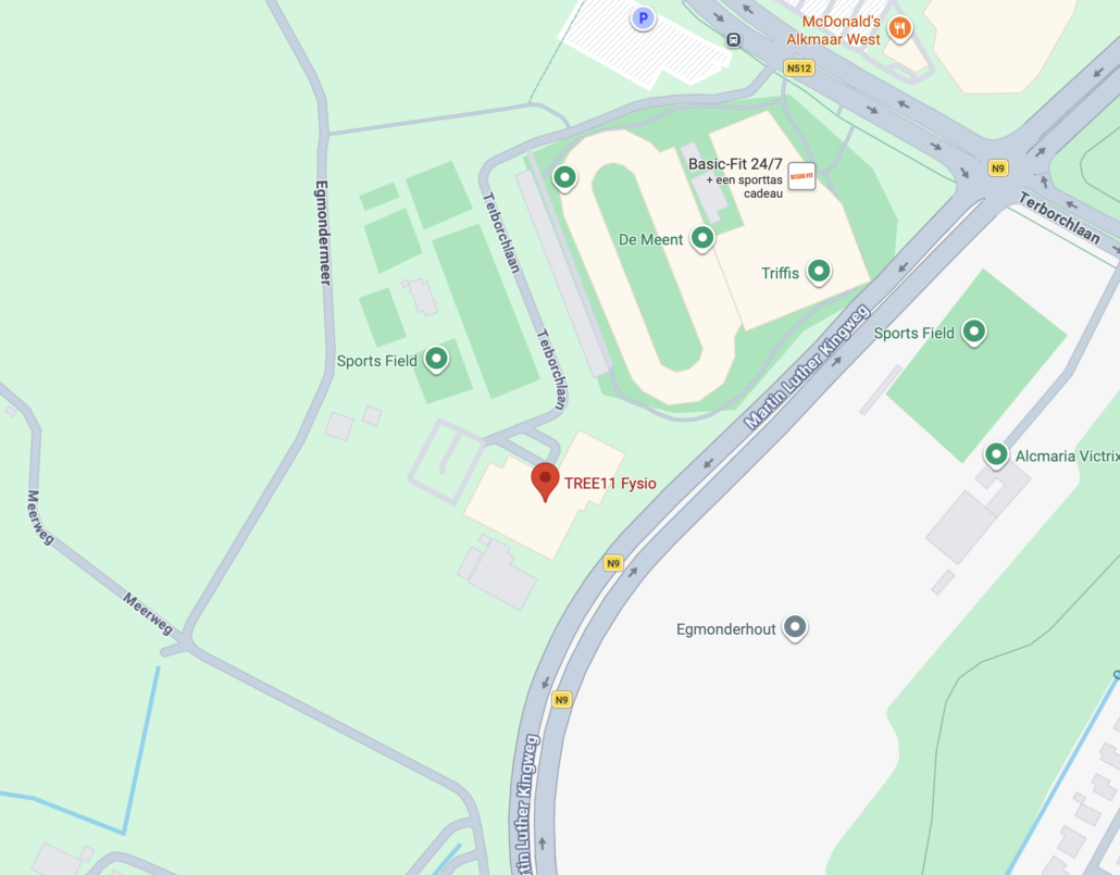 Tree11 Fysiotherapie